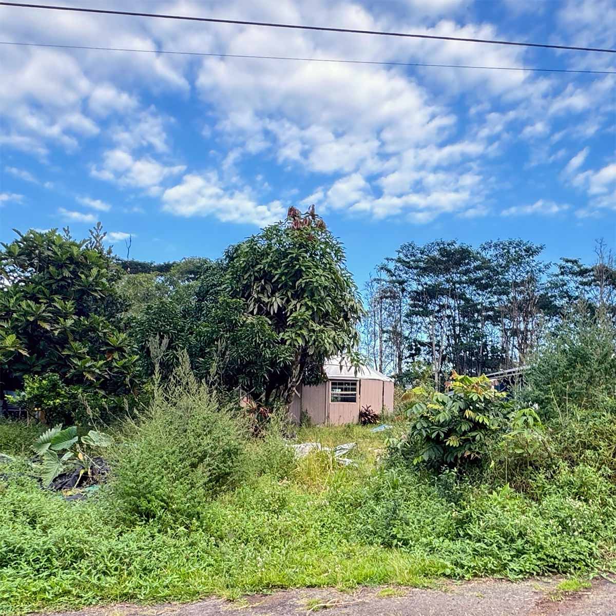 Existing site conditions showing agricultural restoration area